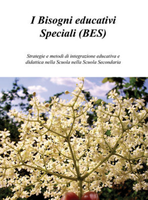 I Bisogni educativi Speciali (BES)