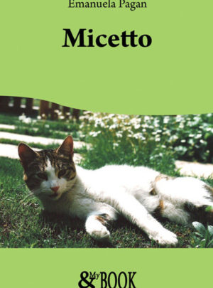 Micetto