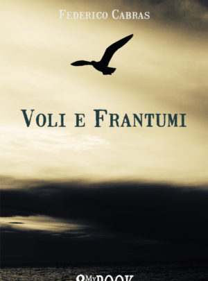 Voli e Frantumi