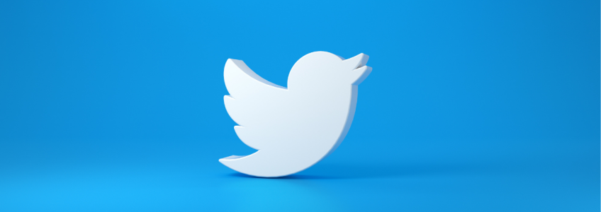 uccellino simbolo Twitter bianco su sfondo azzurro
