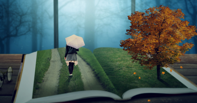libro con prato, sentiero persona che cammina sotto la pioggia e albero stagione autunno