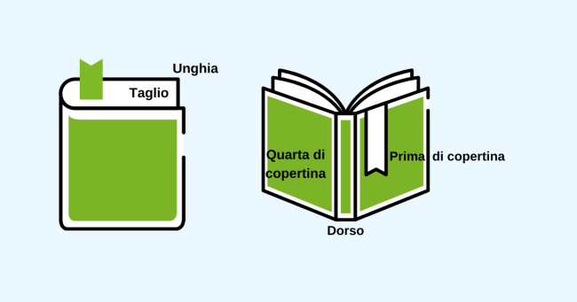 due libri con copertina verde con nomi corrispondenti alle varie parti che ne compongono la struttura esterna